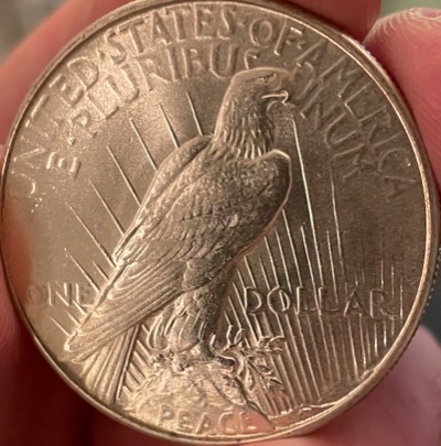 Potential-New-Variety-For-The-1934-P